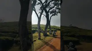 Royal Enfield Himalayan | with Nature bike lover #bikelovers #shorts #cherryvlogs #ttf #royalenfield
