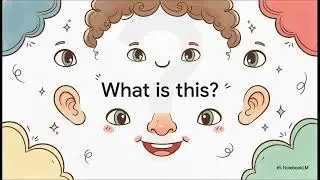 Touch and Learn Body Parts!-Fun for Kids- 