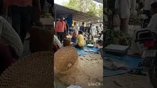 Sabji Mandi MDL  #farming #corianderfarming #agriculture #herbfarming #food #spicefarming