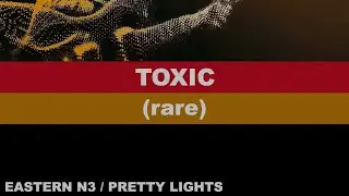 18- TOXIC - Eastern N3 - Pretty Lights '23