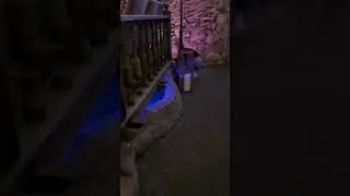 #амбассадор