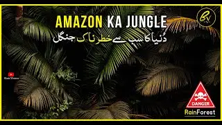 Amazon Rainforest Ke Sabse Khatarnak Raaz | Rain Forest Amazon