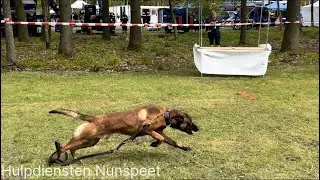 Demonstraties met de honden van defensie beveiliging