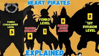 Top 5 strongest members of Heart Pirates in One Piece (Ranked)