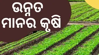 Amazing large-scale Agriculture, Drone footage.