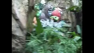 9 3 09 Parts of Rainforest Cafe Animal Kingdom Disney World