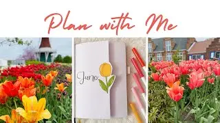 june 2023 bullet journal set up || tulip theme 🌷🤍💖 #bulletjournalplanwithme