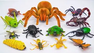 ZURU ROBO ALIVE COLLECTION | UNBOXING Robot Tarantula, New Robo Alive Giant creepers | ASMR