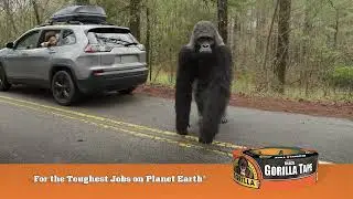 Gorilla Tape - Road trip