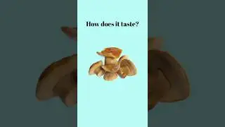 Food Taste Vocabulary in English #foodtaste #tasteoffood #englishvocabulary #ieltsvocabulary #ielts