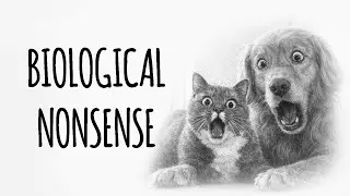 Can a cat get pregnant by a dog