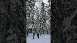 . Sankt Peterburg, ocak 2026
