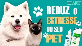 CALMAVET - Acalma o seu pet em diversas situações
