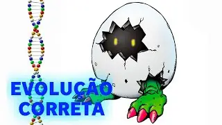Digitamamon - Evolu&ccedil;&atilde;o Correta