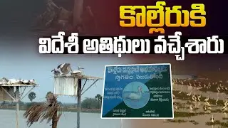కొల్లేరుకి విదేశీ అతిథులు | Kolleru Lake Migratory Birds Latest News | Rajahmundry | Aadhan Telugu