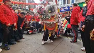 Tang's Pak Mei performed Lion Dance for 6 HOURS STRAIGHT for CNY 2024 | Part 1 | Chinatown London