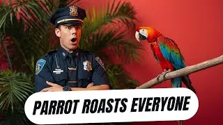 Savage Talking Parrot DESTROYS Police, Nurses & Passengers