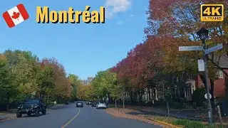 [4K]🍁Fall Drive Through Nun’s Island | a Hidden Autumn Paradise | #fallfoliage #driving #island