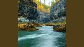 Gentle Ruins by the Stream