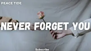 Never Forget You &ndash; Peace Tide | Emotional Heartbreak Lyrics Video 2025