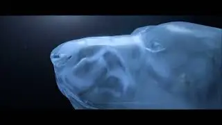 Refuge VFX   Dissonance Titles