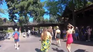 Critter Country Walk Through