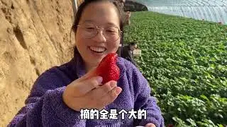 带媳妇实现草莓自由：在嫂子家吃完还要带着走，真不拿自己当外人