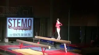 Turnshow 2015, Deel 1 - 12: Keurturnen