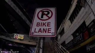 Safe Night Walking Adventure With Blind Dog David Along The Moving Train & Places Of Makati City.
