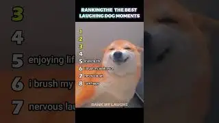 Ranking Funny Laughing Dog Moments #shorts