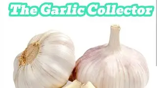 SONIC Cookbook - The Garlic Collector  @SonictheHedgehog #vectorthecrocodile #cookbook #garlic
