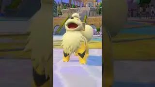 Shiny Growlithe Into Shiny Arcanine #shinyhunting #pokemon #violet