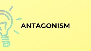 What is the meaning of the word ANTAGONISM?