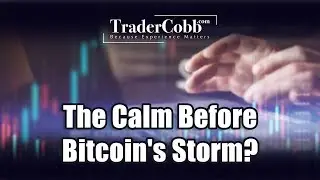 The Calm Before Bitcoin's Storm?