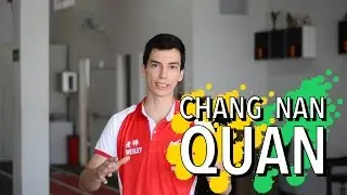 Diferenças entre CHANG QUAN e NAN QUAN