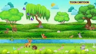 Animal Forest Animated Nature Video
