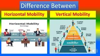 Differences Between  Horizontal Mobility and  Vertical Mobility