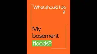 What should I do if my basement floods?