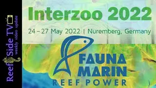 Interzoo 2022 - Fauna Marin