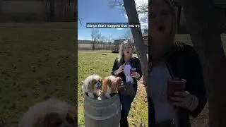 Dog Friendly Wineries - Quattro Goombas Winery #loudouncountyva #loveloco #novarealtor #winery
