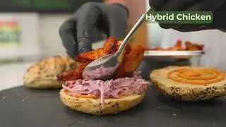 Behind the curtain of protein innovation: Hybrid Proteins