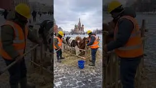 В Москве рабочие из Индии построили ферму на Красной площади