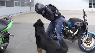 PRACTICE SMALL SPOT / WHEELIES STUNTS / VERTICALHOOLIGAN / RIDERS CLUB LDN