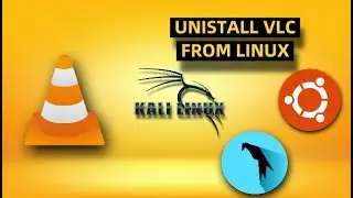 how to uninstall vlc from kali linux