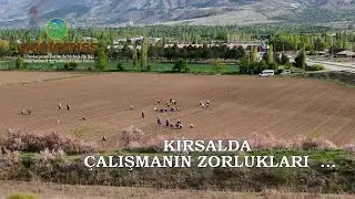 Kırsalda Çalışmanın Zorlukları