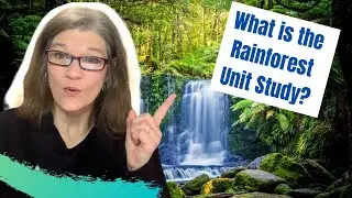 Homeschool Rainforest Unit Study Explained