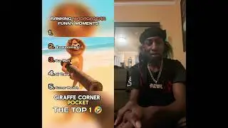 Madagascar reaction@Dank_Rank #duet #madagascar