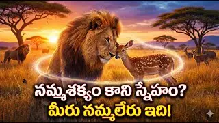 Lion & Deer Friendship in Forest | Mini Zoo