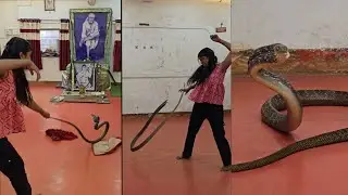 चावायला येत होता अंगावर भला मोठा रागीट साप 😳 बघा कसा केल या रागीट सापाचा रेस्क्यू