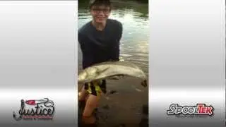 Big Snook on a SpoolTek Lure